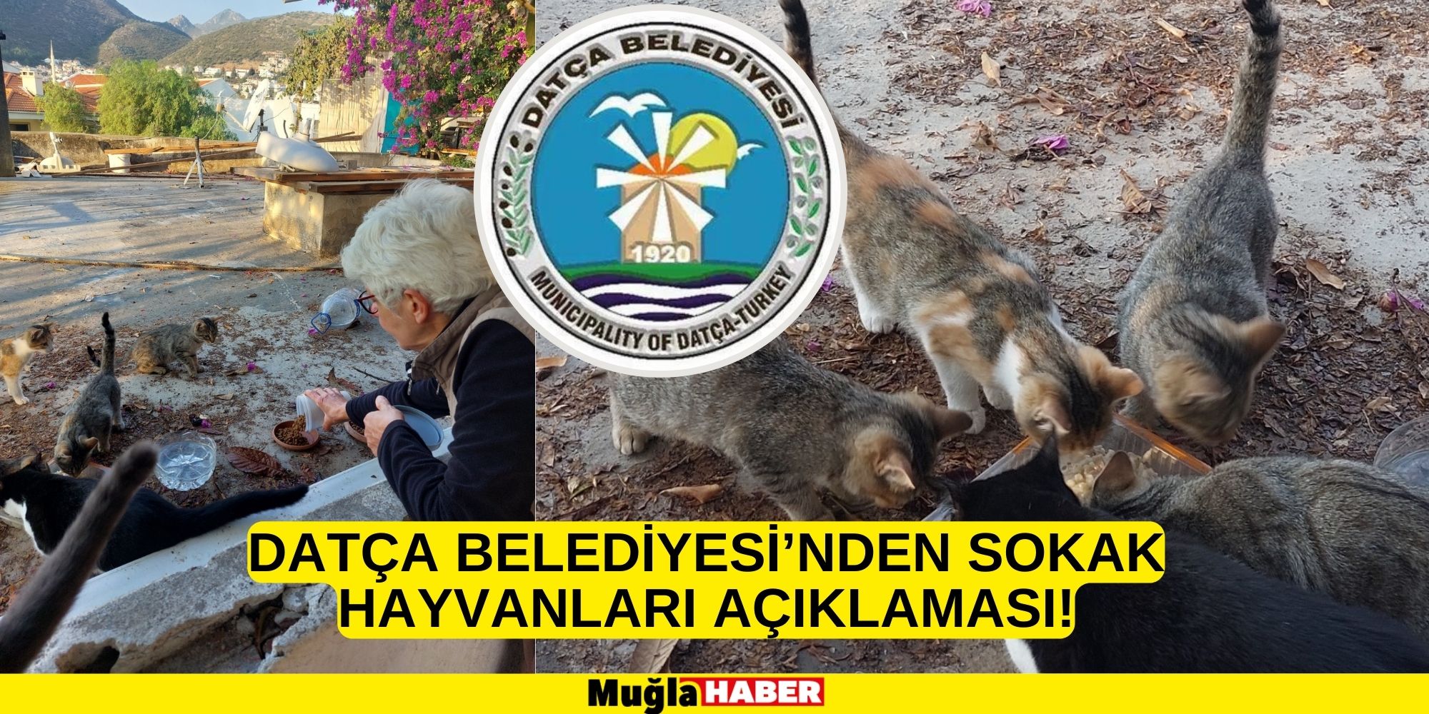 DATÇA BELEDİYESİ’NDEN SOKAK HAYVANLARI AÇIKLAMASI!