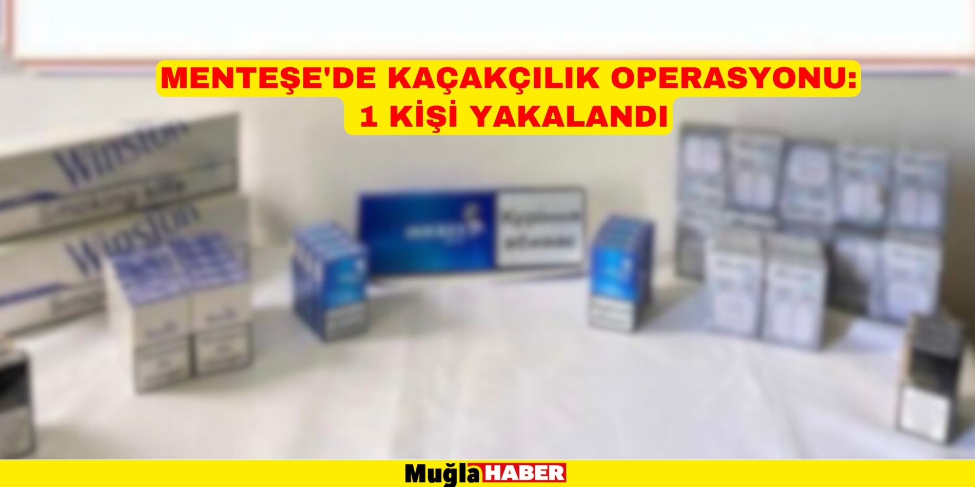 KAÇAKÇILIK OPERASYONUNDA BİR KİŞİ YAKALANDI