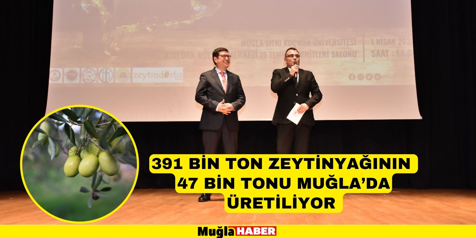 391 BİN TON ZEYTİNYAĞININ 47 BİN TONU MUĞLA’DA ÜRETİLİYOR