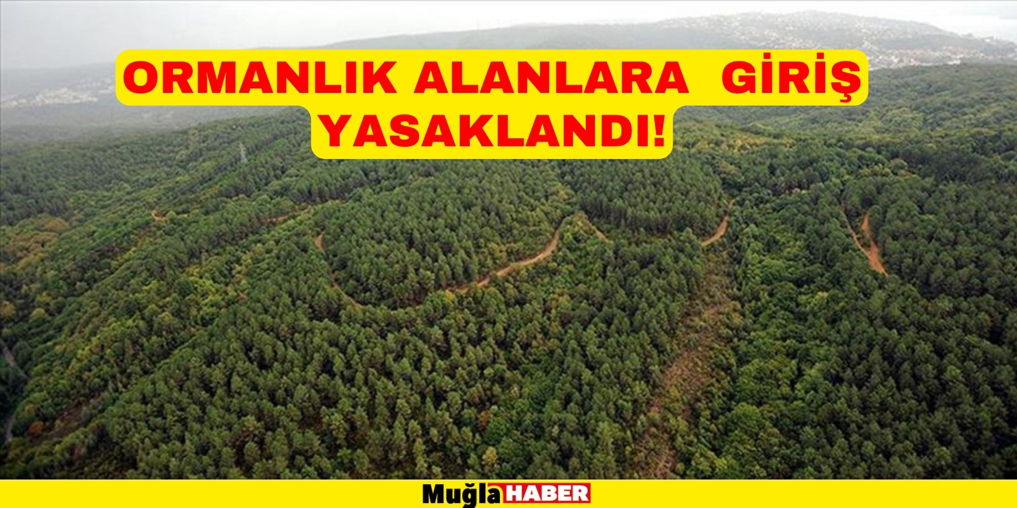 ORMANLIK ALANLARA İZİNSİZ GİRİŞ YASAKLANDI!