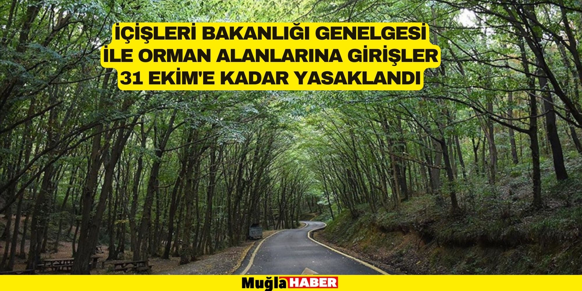 ORMANLIK ALANLARA GİRİŞLER 31 EKİM'E KADAR YASAK