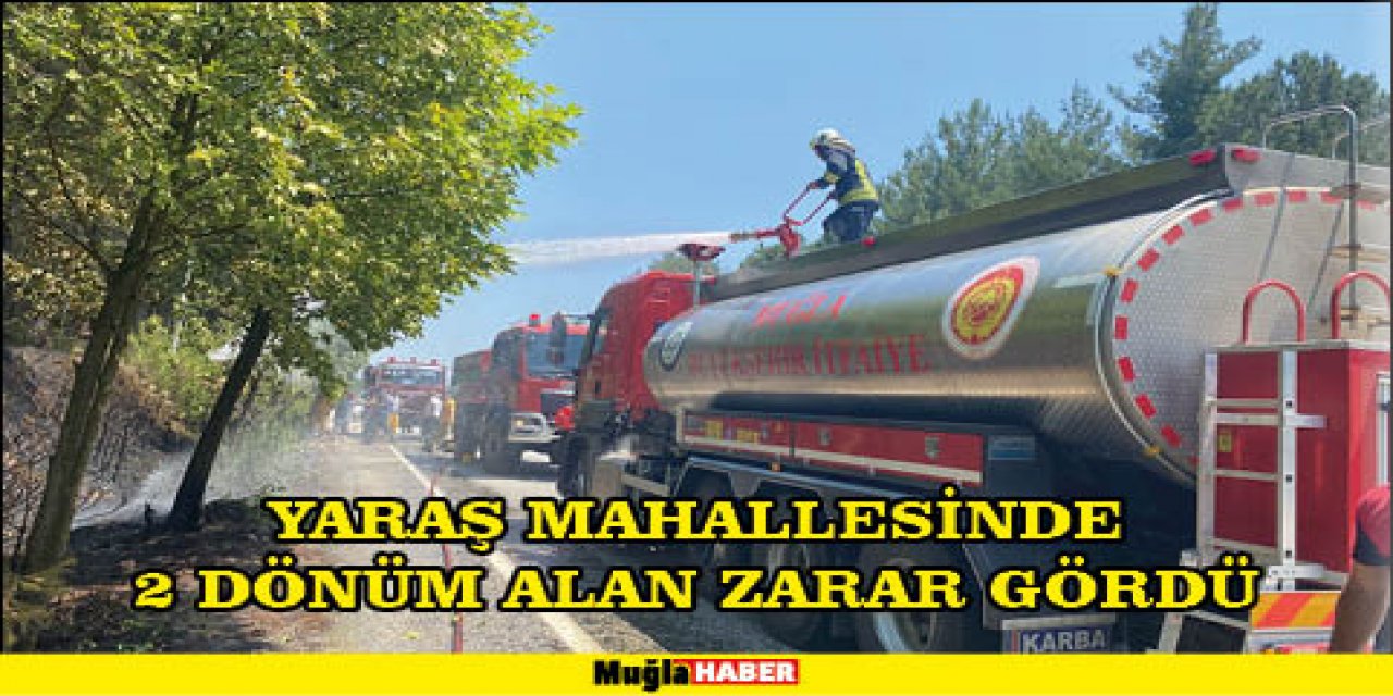 YARAŞ MAHALLESİNDE 2 DÖNÜM ALAN ZARAR GÖRDÜ