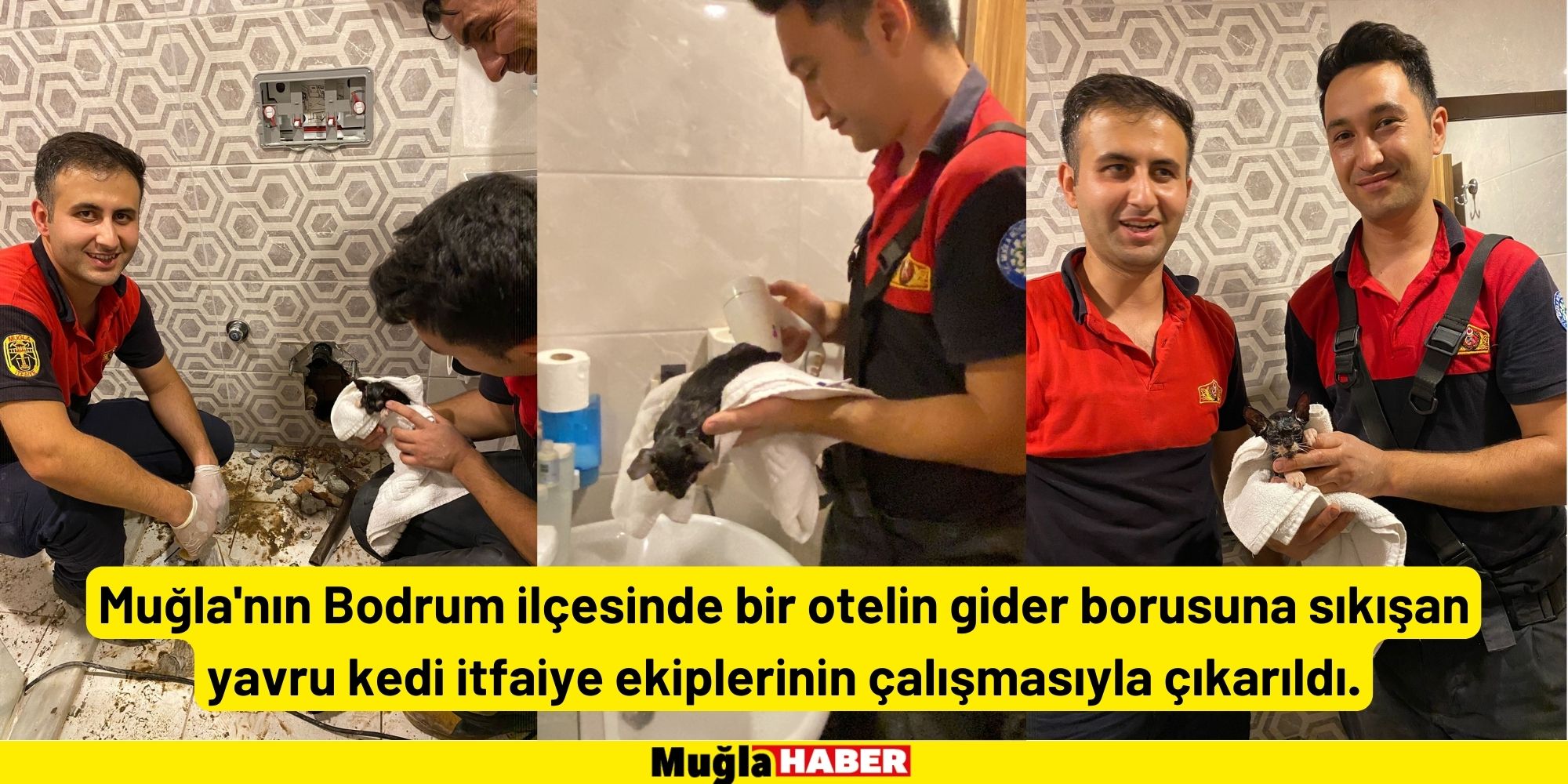 Muğla'da otelin gider borusuna sıkışan yavru kediyi itfaiye kurtardı