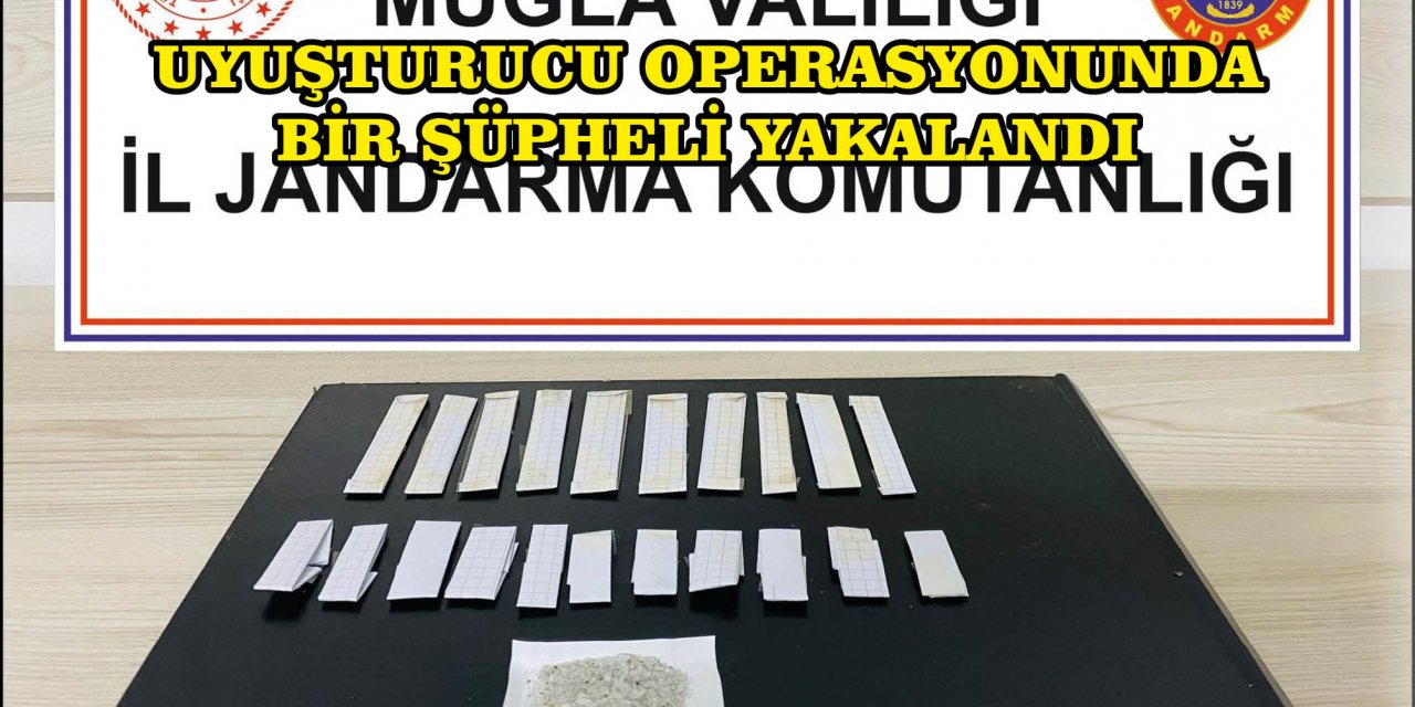 UYUŞTURUCU OPERASYONUNDA BİR ŞÜPHELİ YAKALANDI