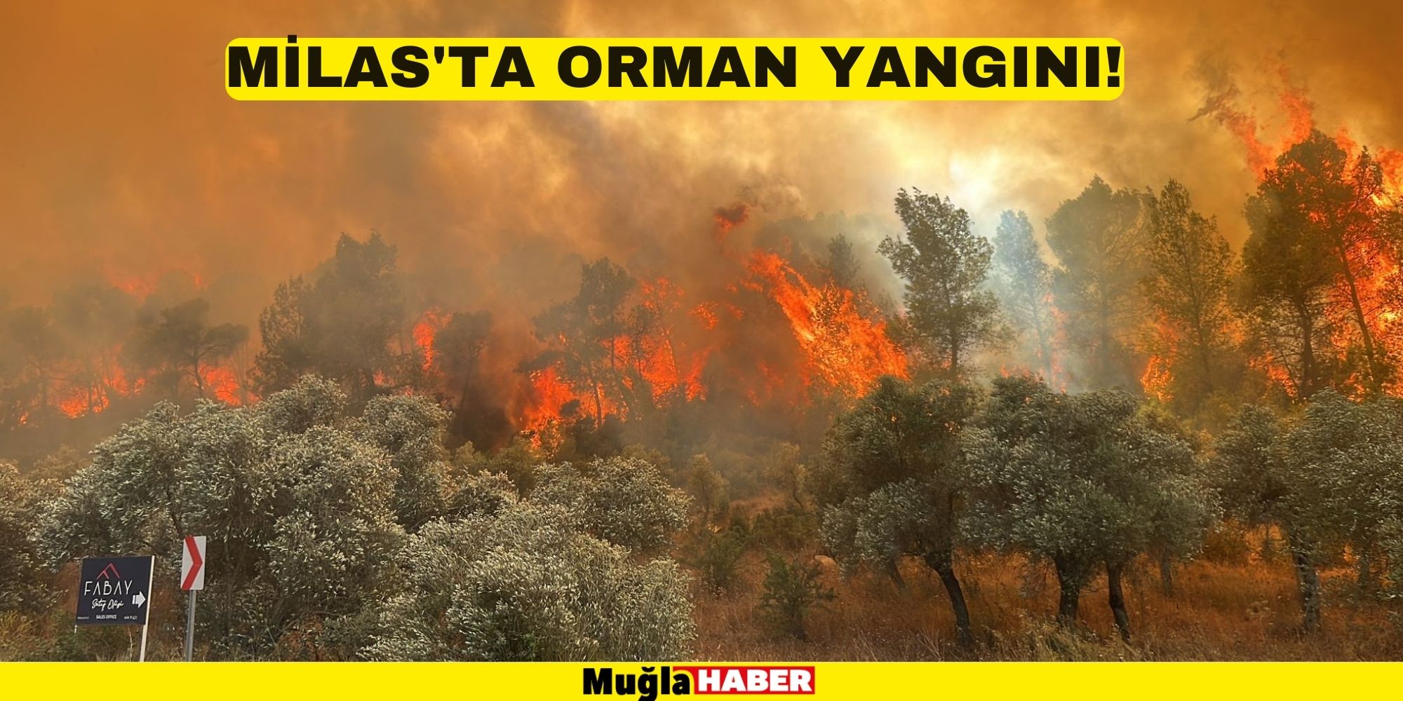 MİLAS'TA ORMAN YANGINI!