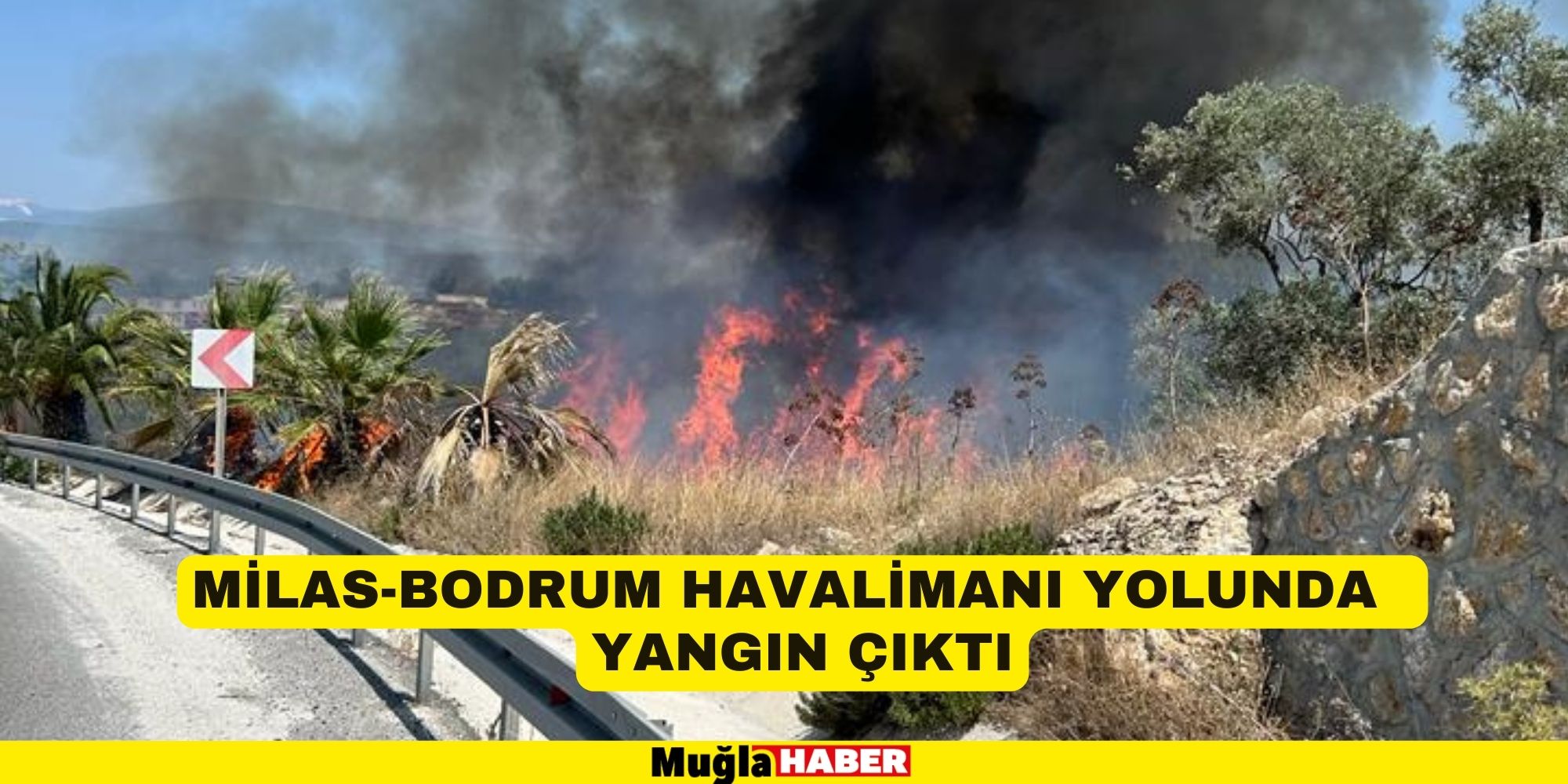 Milas-Bodrum Havalimanı yolunda ormanlık alanda çıkan yangına müdahale ediliyor