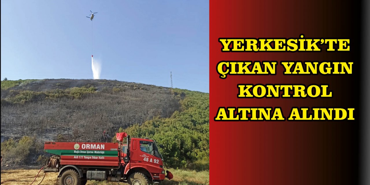 Yerkesik'te çıkan yangın kontrol altına alındı