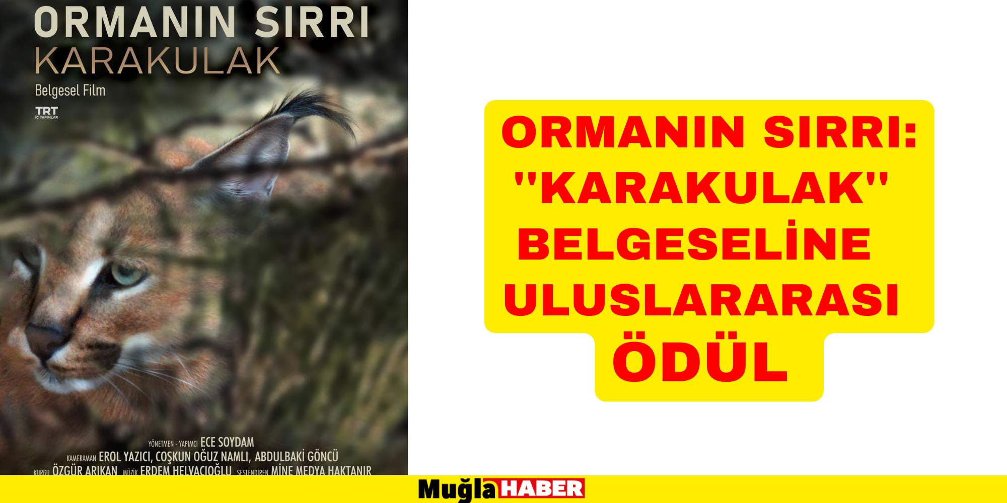 ORMANIN SIRRI: KARAKULAK” BELGESELİNE ULUSLARARASI ÖDÜL