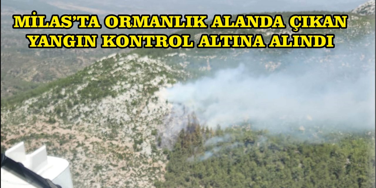 MİLAS'TA ORMANLIK ALANDA ÇIKAN YANGIN KONTROL ALTINA ALINDI