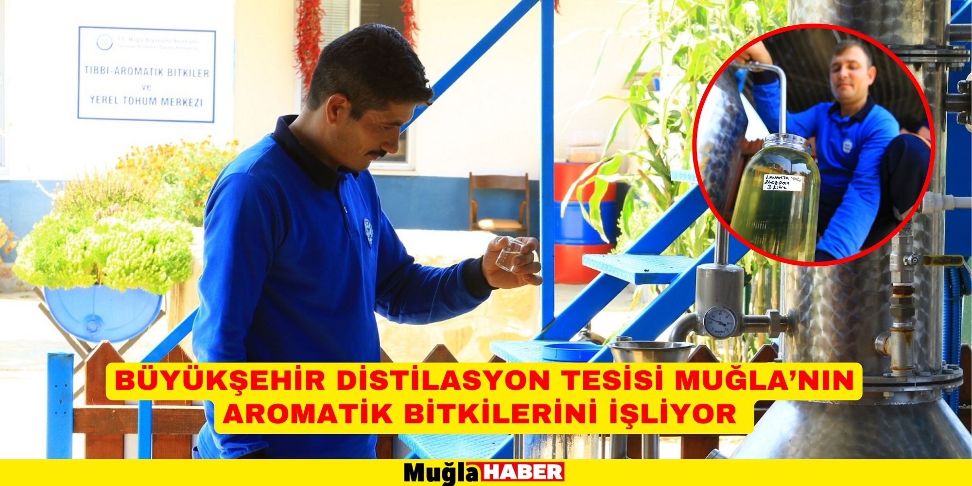 BÜYÜKŞEHİR DİSTİLASYON TESİSİ MUĞLA’NIN AROMATİK BİTKİLERİNİ İŞLİYOR