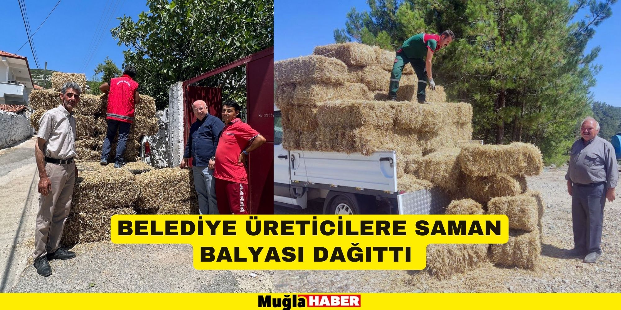 BELEDİYE ÜRETİCİLERE SAMAN BALYASI DAĞITTI