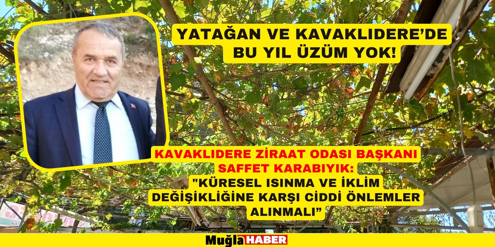 YATAĞAN VE KAVAKLIDERE’DE BU YIL ÜZÜM YOK!