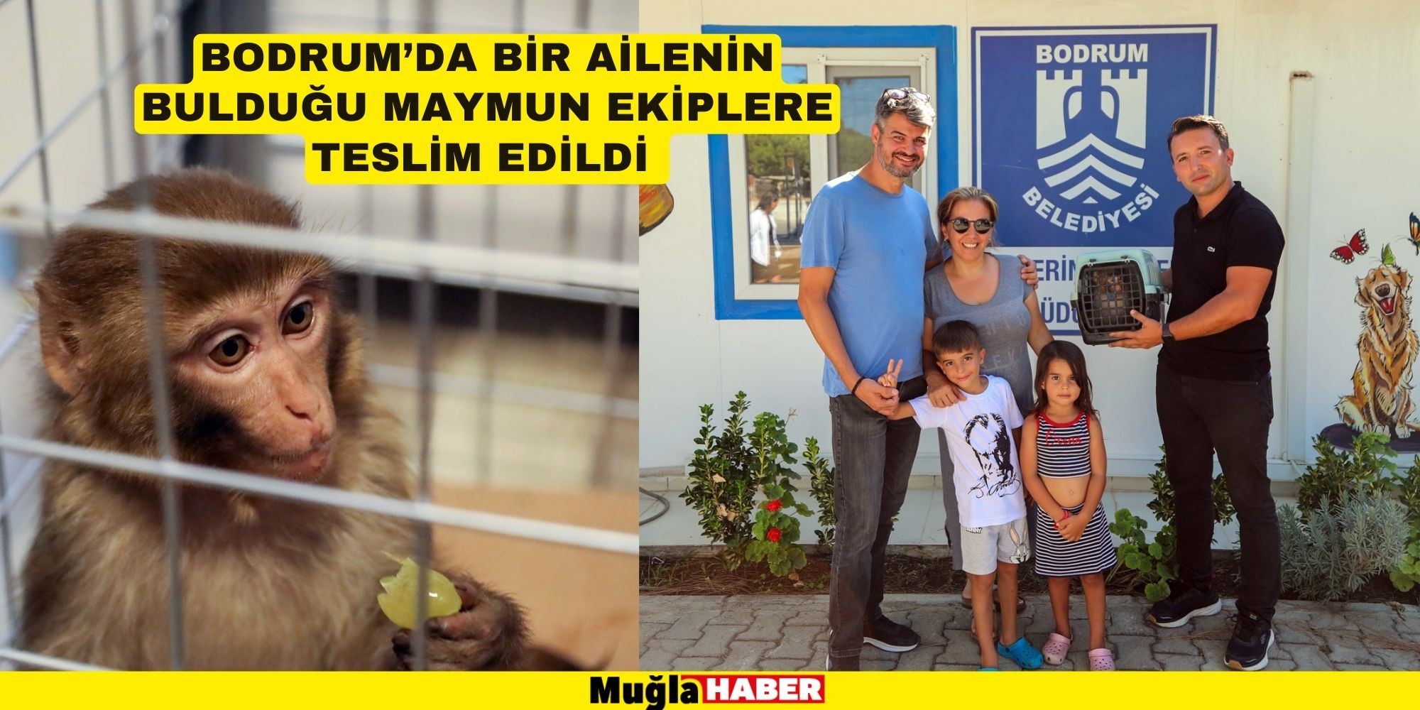 BODRUM’DA BİR AİLENİN BULDUĞU MAYMUN EKİPLERE TESLİM EDİLDİ