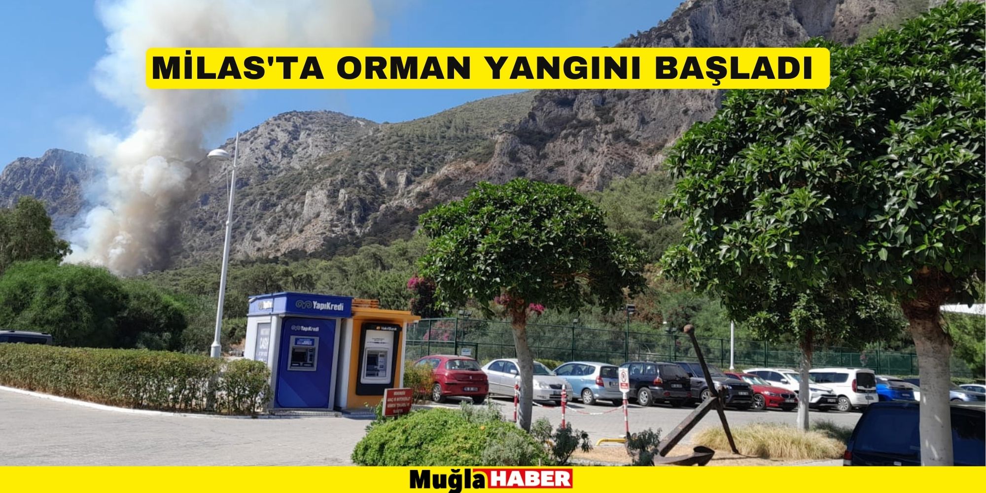 MİLAS'TA ORMAN YANGINI BAŞLADI