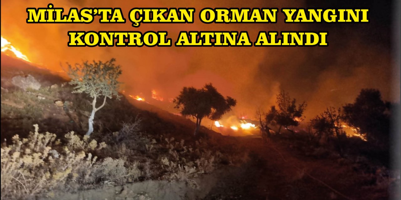 MİLAS'TA ÇIKAN ORMAN YANGINI KONTROL ALTINA ALINDI