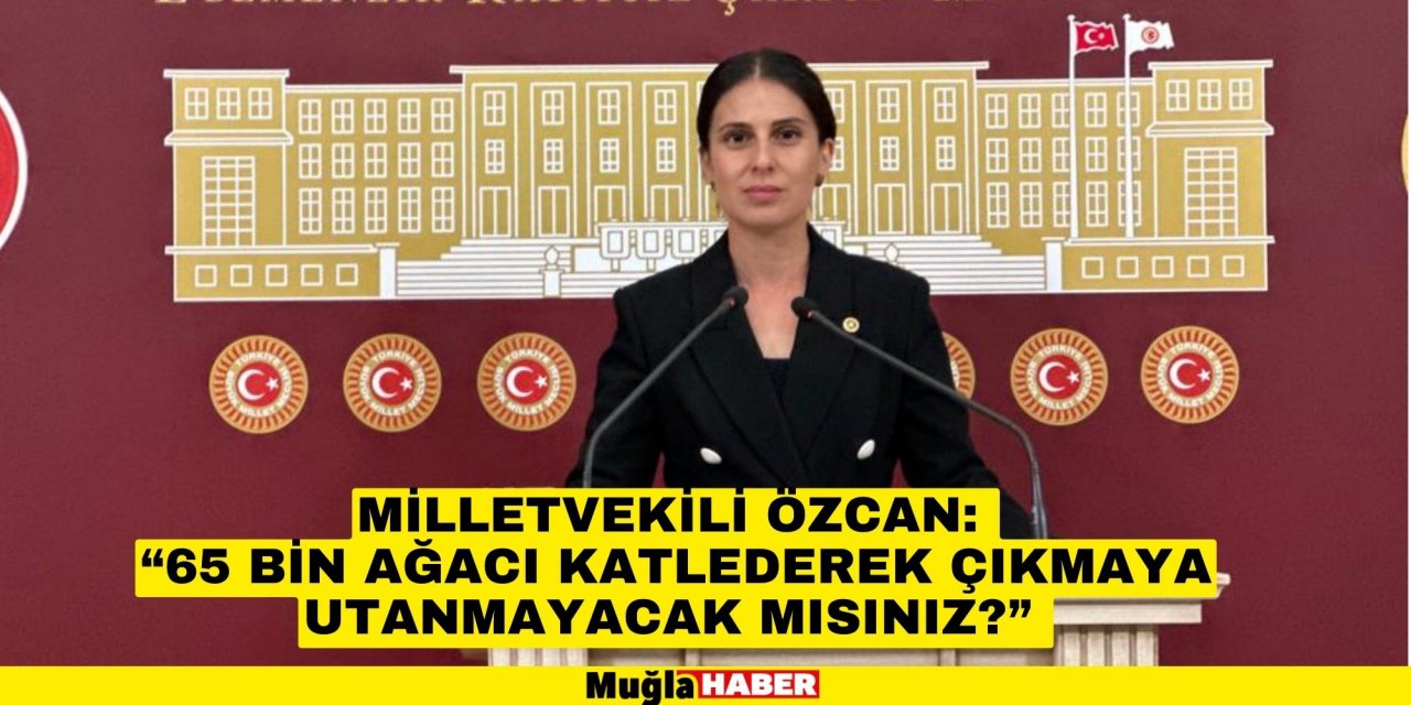 MİLLETVEKİLİ ÖZCAN:  “65 BİN AĞACI KATLEDEREK ÇIKMAYA UTANMAYACAK MISINIZ?”