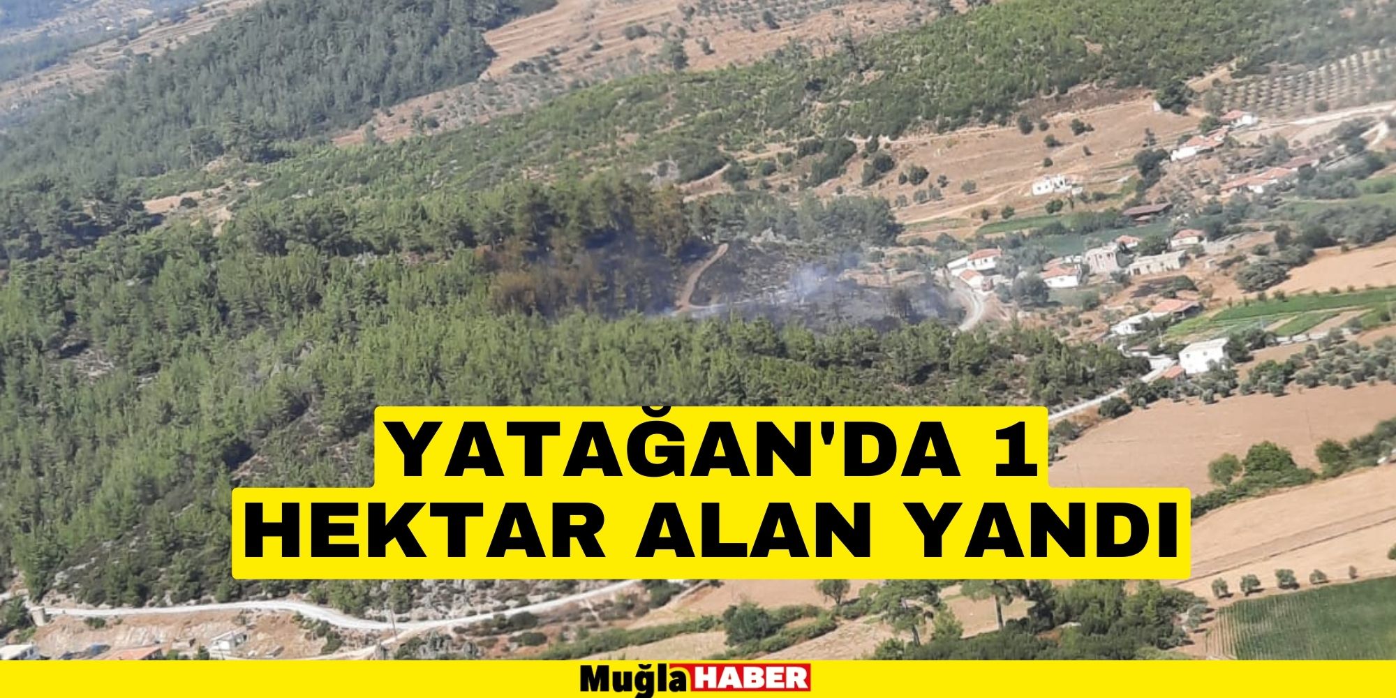 YATAĞAN'DA 1 HEKTAR ALAN YANDI