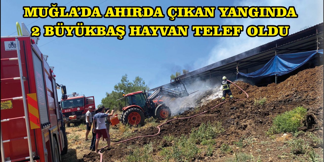 MUĞLA'DA AHIRDA ÇIKAN YANGINDA 2 BÜYÜKBAŞ HAYVAN TELEF OLDU