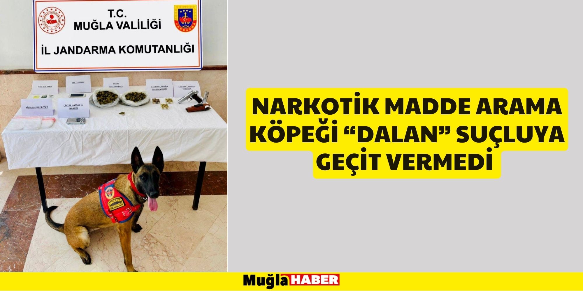 NARKOTİK MADDE ARAMA KÖPEĞİ “DALAN” SUÇLUYA GEÇİT VERMEDİ