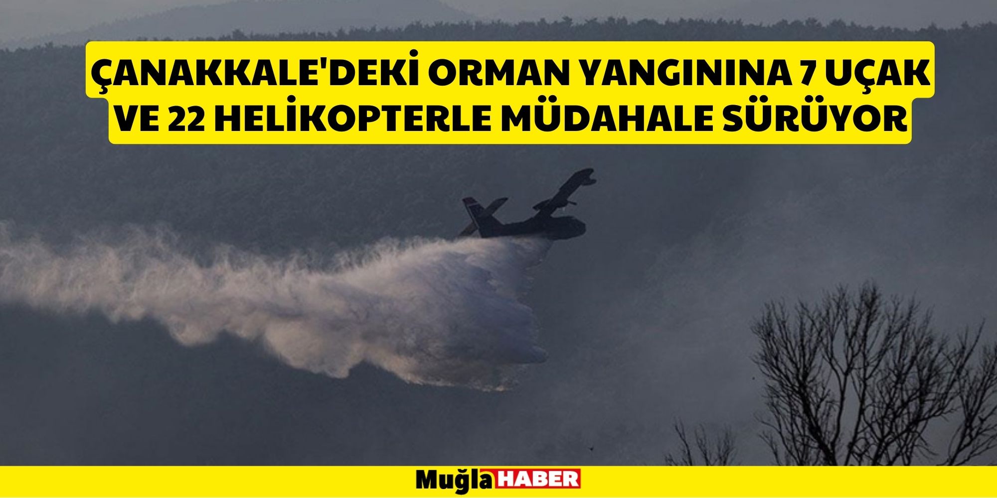 Çanakkale'deki orman yangınına 7 uçak ve 22 helikopterle müdahale sürüyor