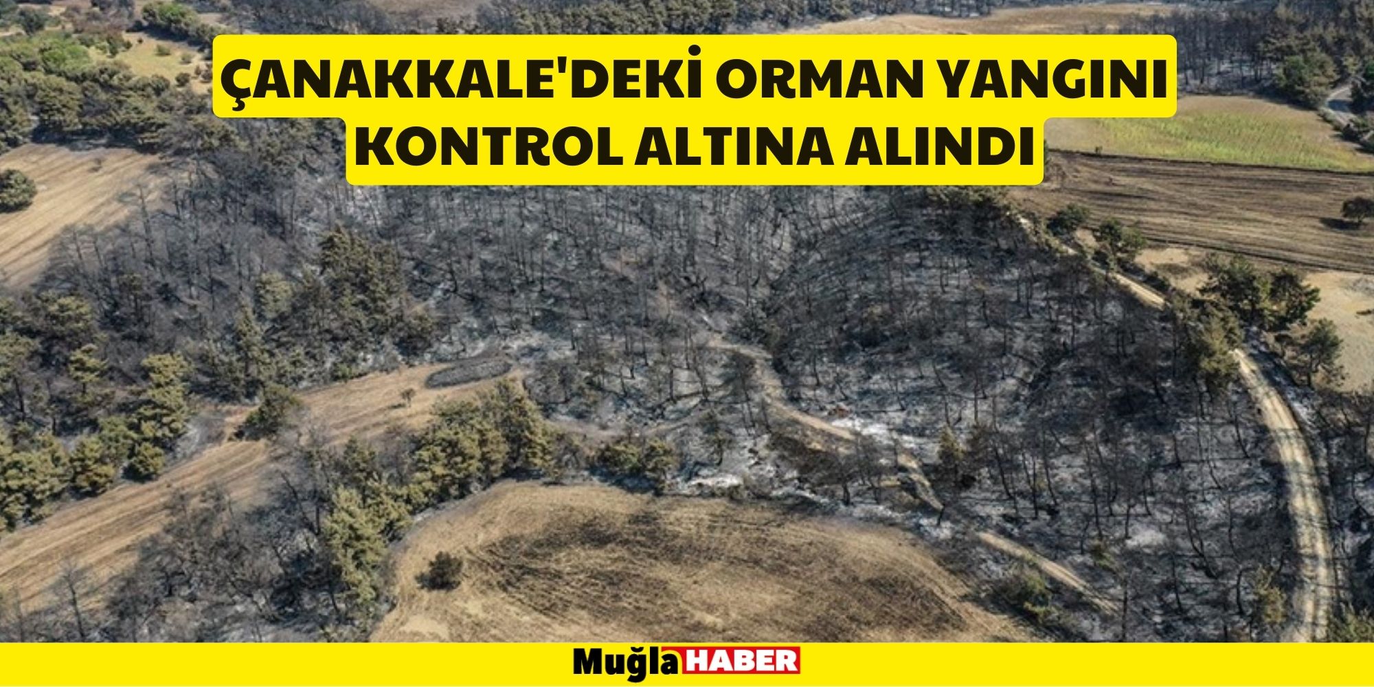 Çanakkale'deki orman yangını kontrol altına alındı