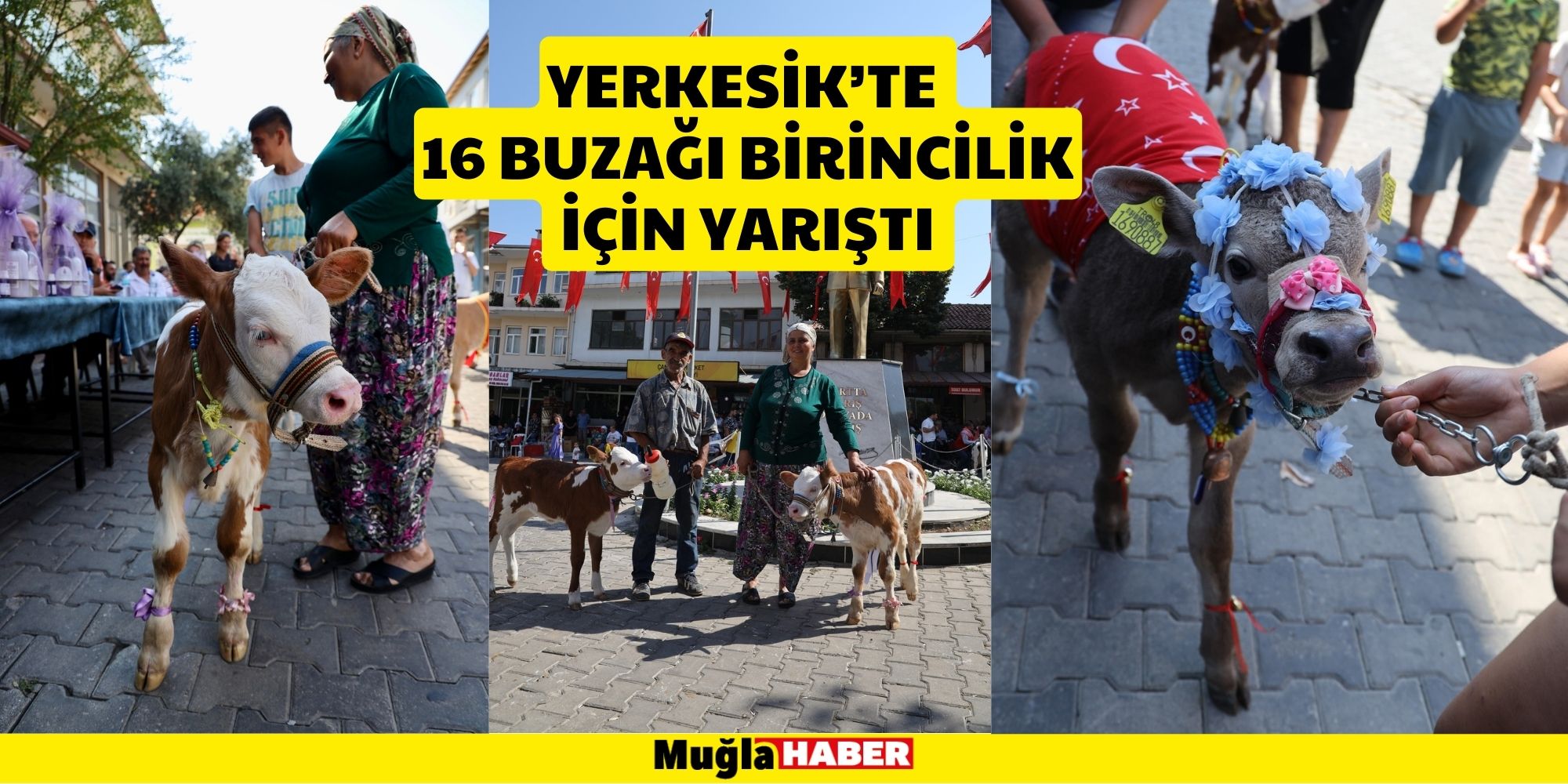 YERKESİK’TE 16 BUZAĞI BİRİNCİLİK İÇİN YARIŞTI