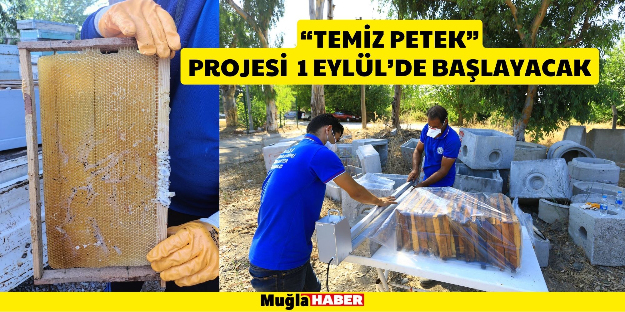 “TEMİZ PETEK” PROJESİ 1 EYLÜL’DE  BAŞLAYACAK