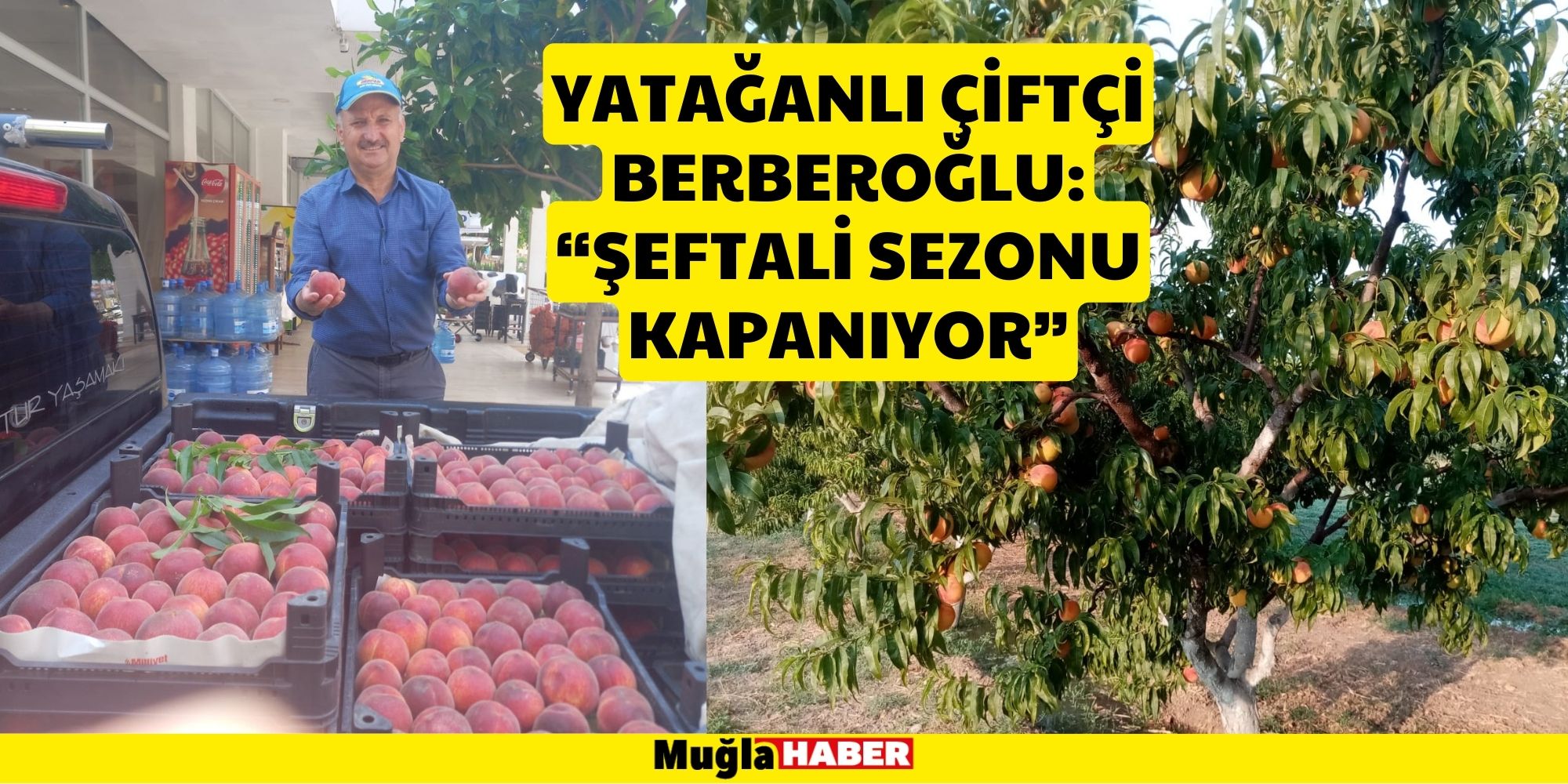 “ŞEFTALİ SEZONU KAPANIYOR”