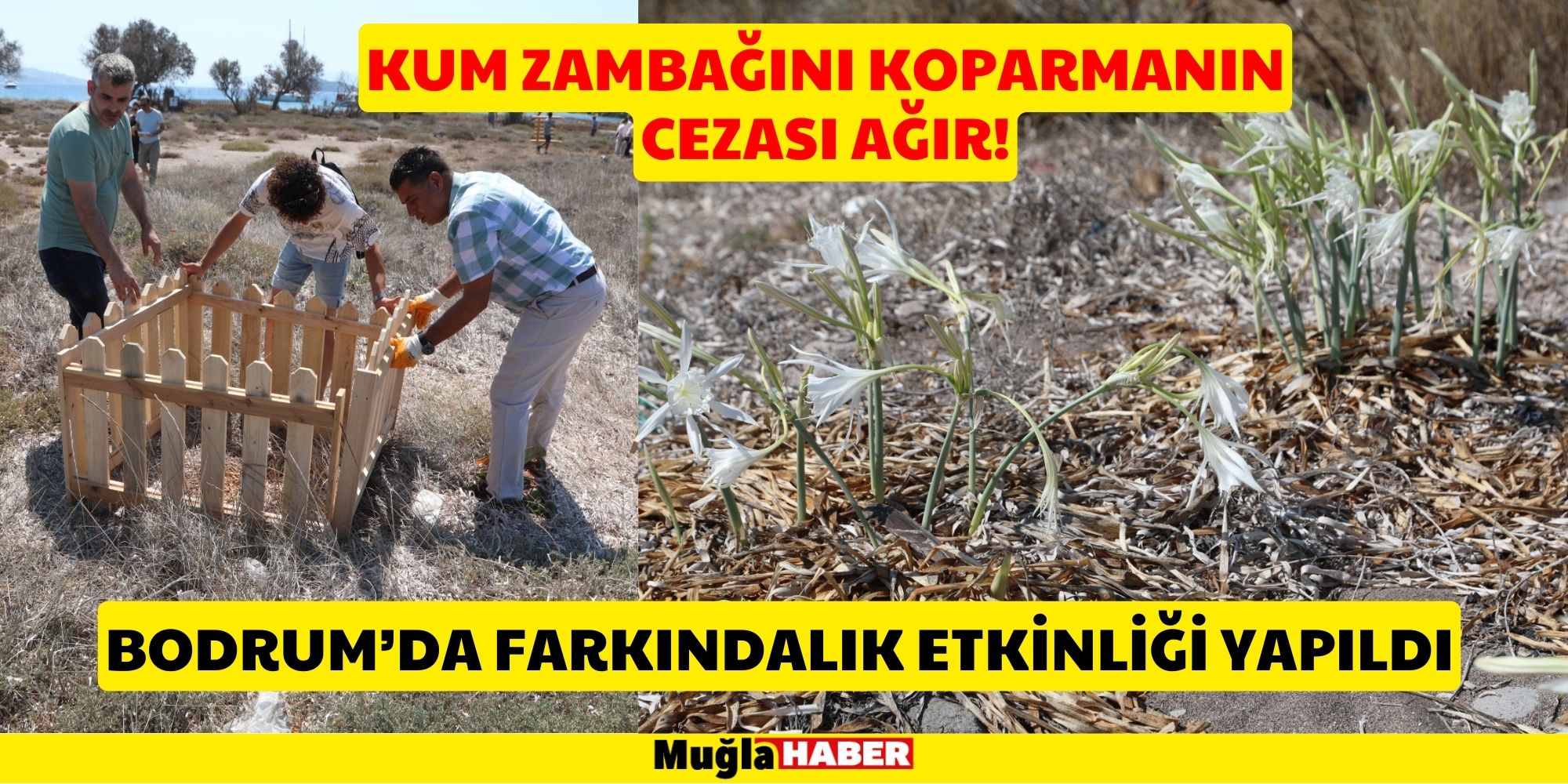 BODRUM’DA KUM ZAMBAĞI FARKINDALIK ETKİNLİĞİ DÜZENLEDİ