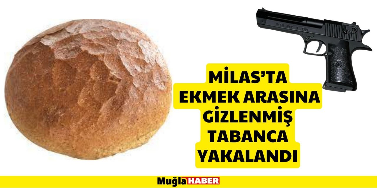 MİLAS'TA EKMEK ARASINA GİZLENMİŞ TABANCA YAKALANDI