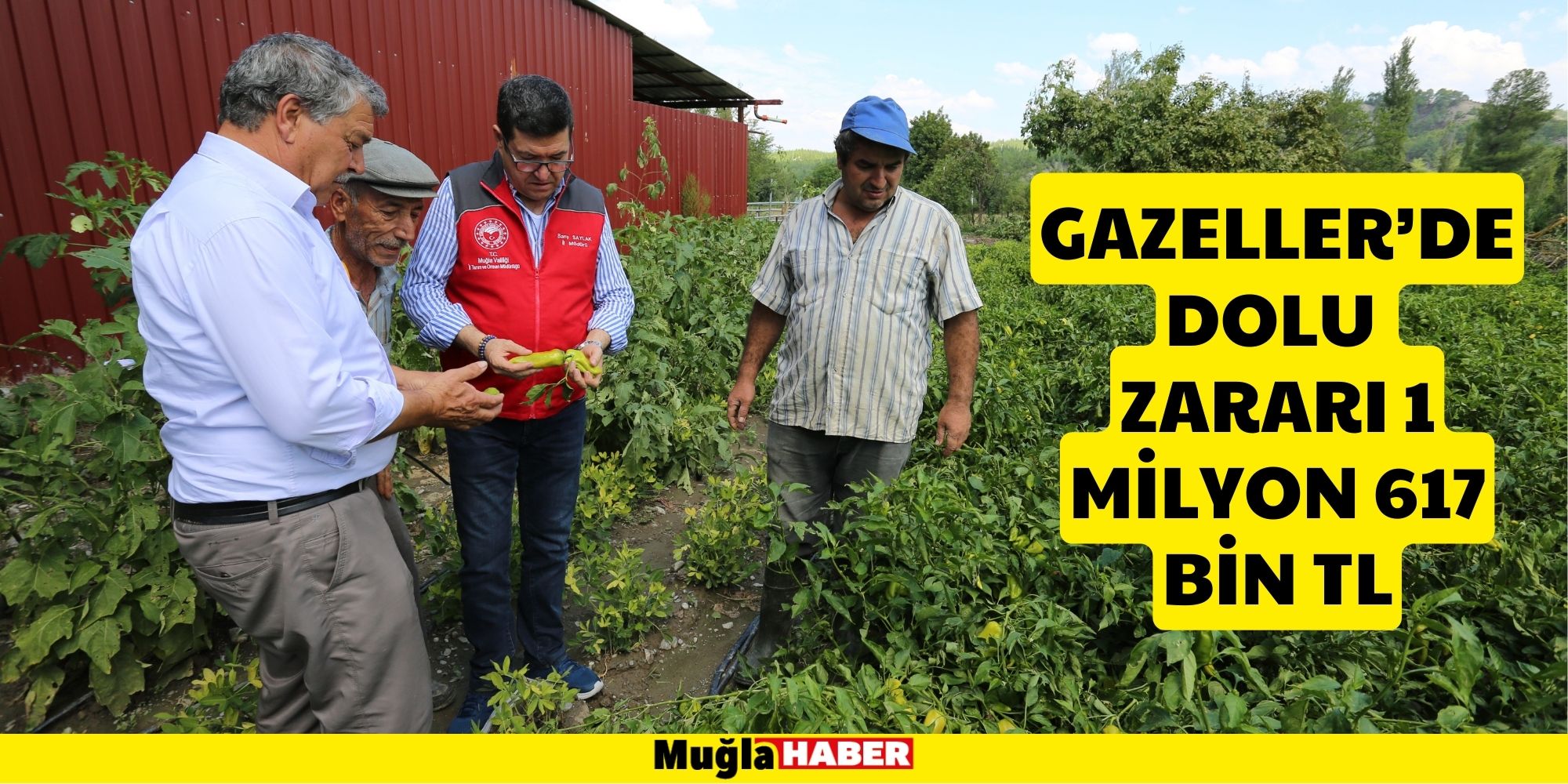 İL MÜDÜRÜ SAYLAK DOLUDAN ZARAR GÖREN ÜRETİCİLERİ ZİYARET ETTİ