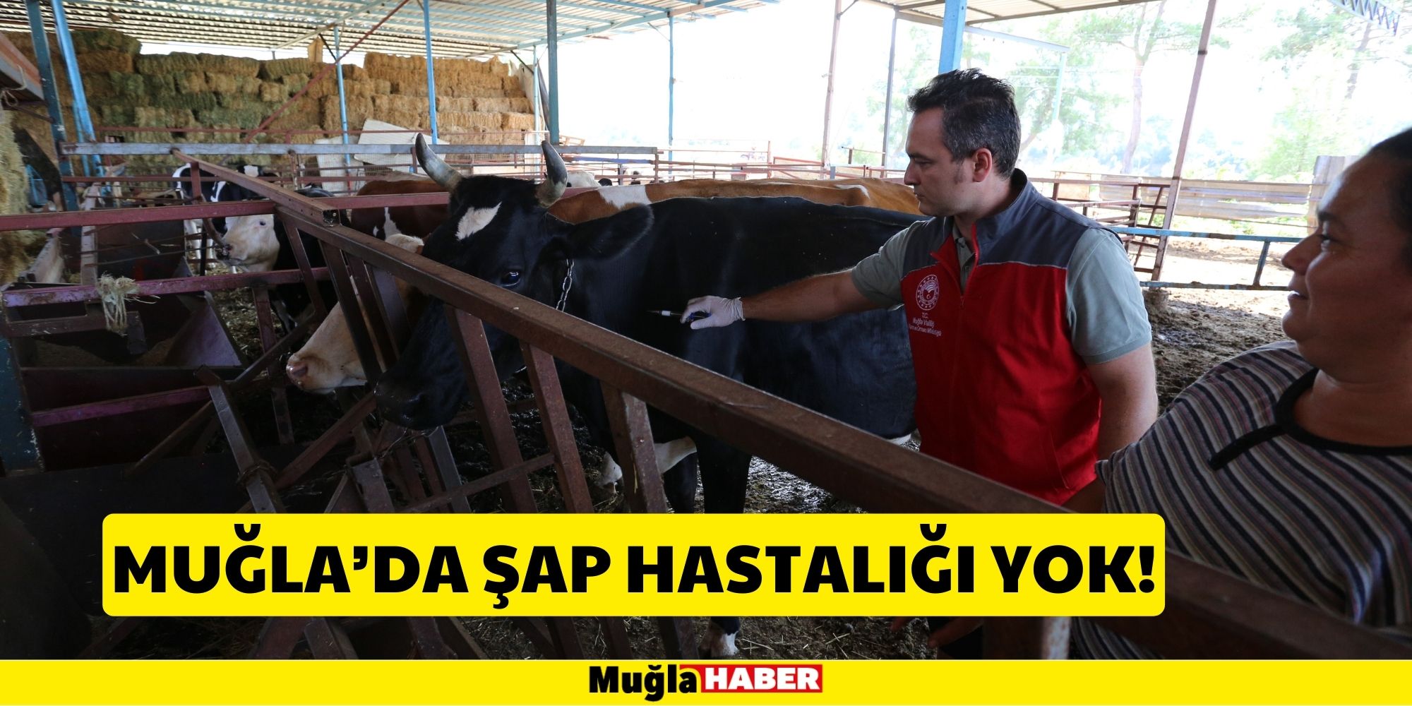 ŞAP HASTALIĞINA KARŞI AŞILAMA STARTI GAZELLER MAHALLESİ’NDEN VERİLDİ