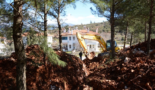 MUSKİ’den ağaç hassasiyeti