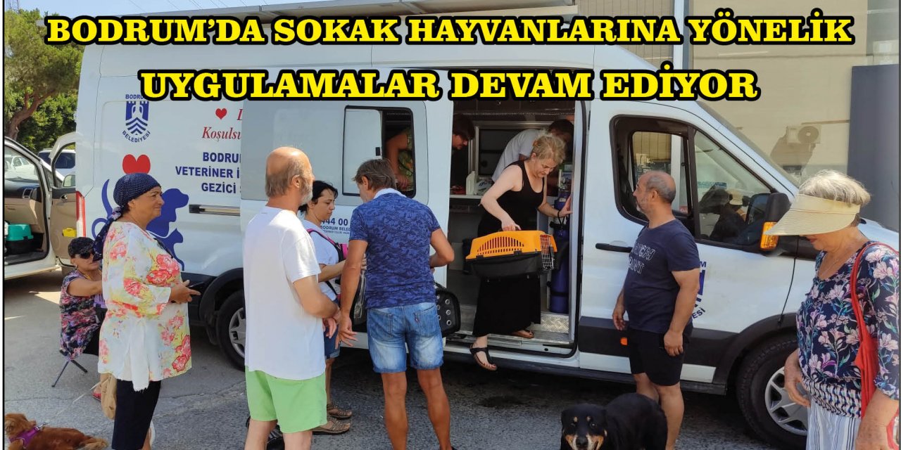 BODRUM’DA SOKAK HAYVANLARINA YÖNELİK UYGULAMALAR DEVAM EDİYOR