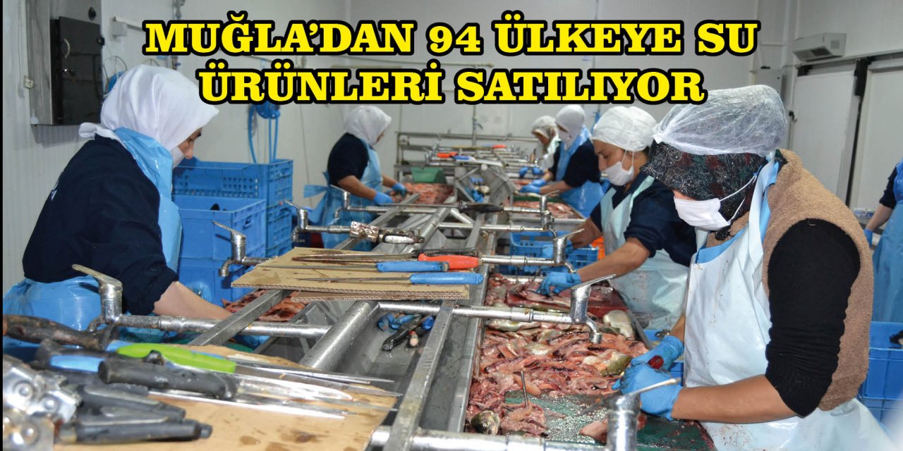 MUĞLA'DAN 94 ÜLKEYE SU ÜRÜNLERİ SATILIYOR