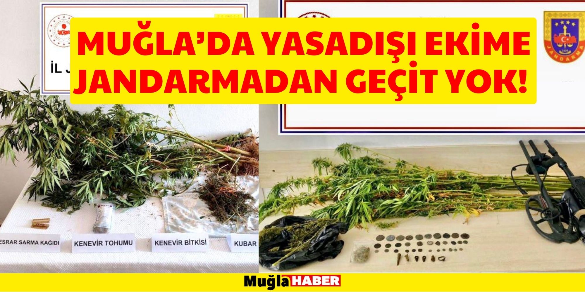 MUĞLA'DA YASADIŞI EKİME JANDARMADAN GEÇİT YOK!