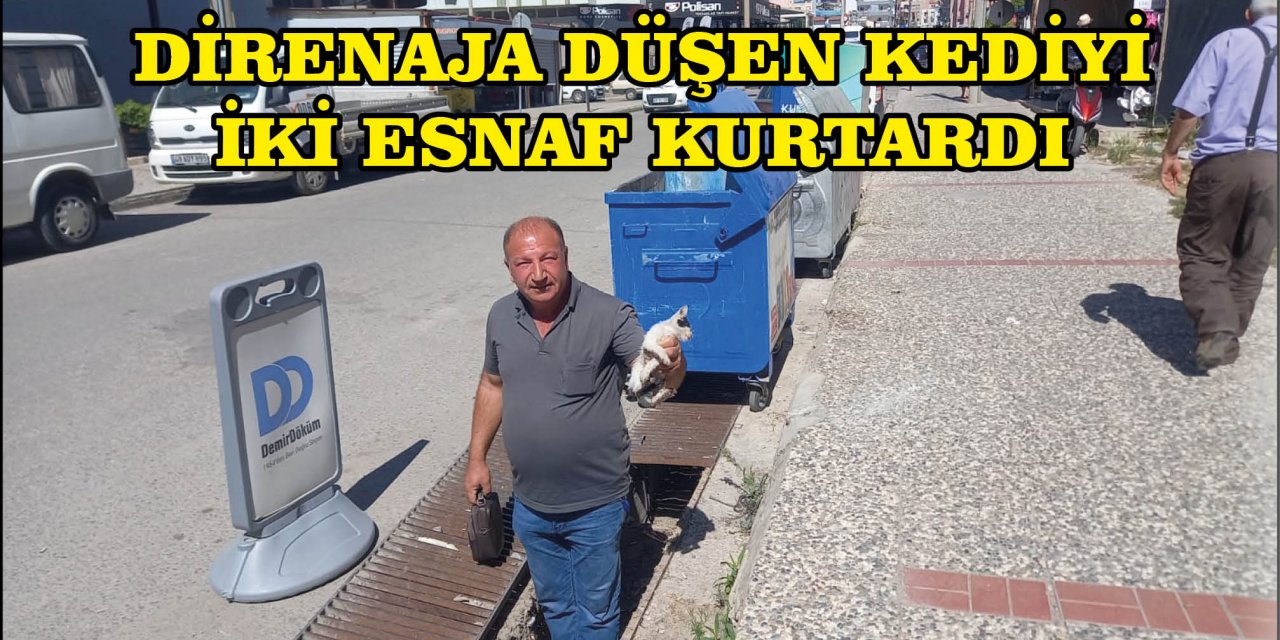 DİRENAJA DÜŞEN KEDİYİ İKİ ESNAF KURTARDI