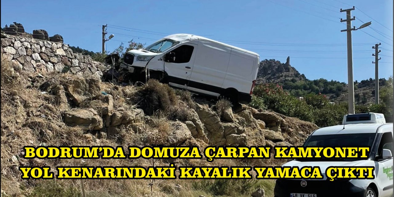 BODRUM'DA DOMUZA ÇARPAN KAMYONET YOL KENARINDAKİ KAYALIK YAMACA ÇIKTI