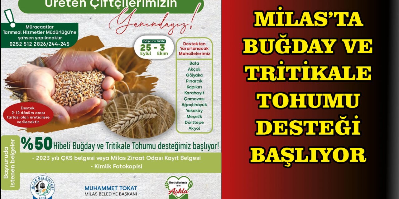 MİLAS’TA BUĞDAY VE TRİTİKALE TOHUMU DESTEĞİ BAŞLIYOR