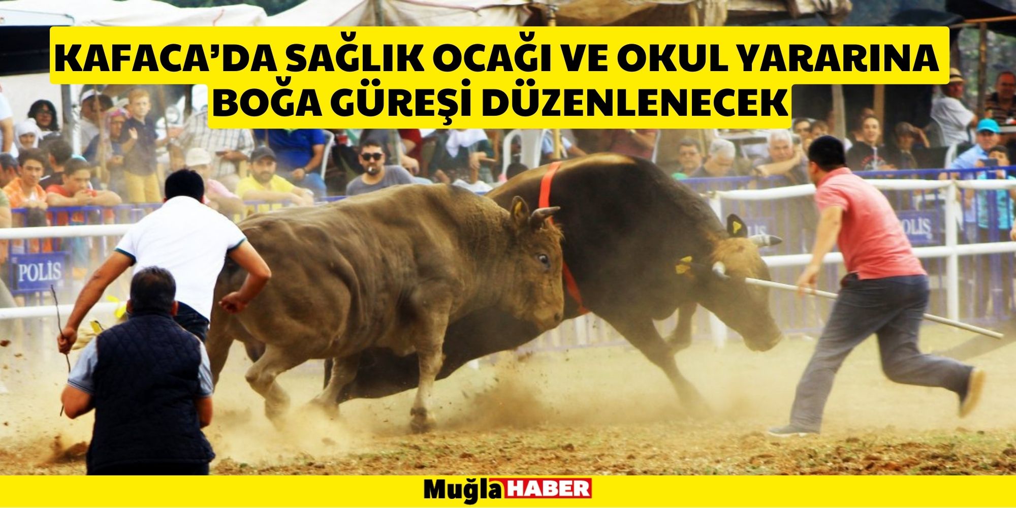 KAFACA BOĞA GÜREŞİ 1 EKİM’DE