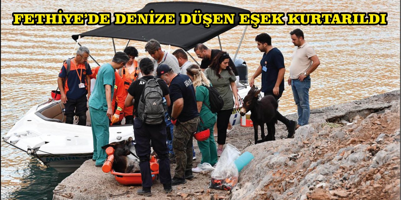 FETHİYE'DE DENİZE DÜŞEN EŞEK KURTARILDI