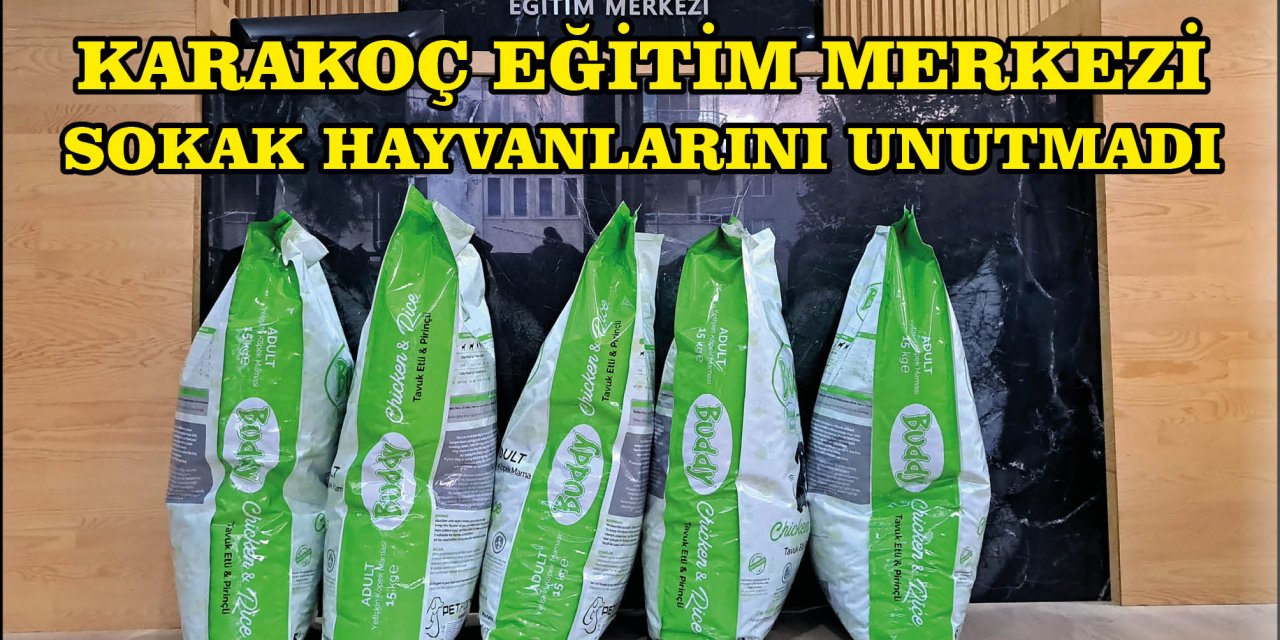 KARAKOÇ EĞİTİM MERKEZİ SOKAK HAYVANLARINI UNUTMADI