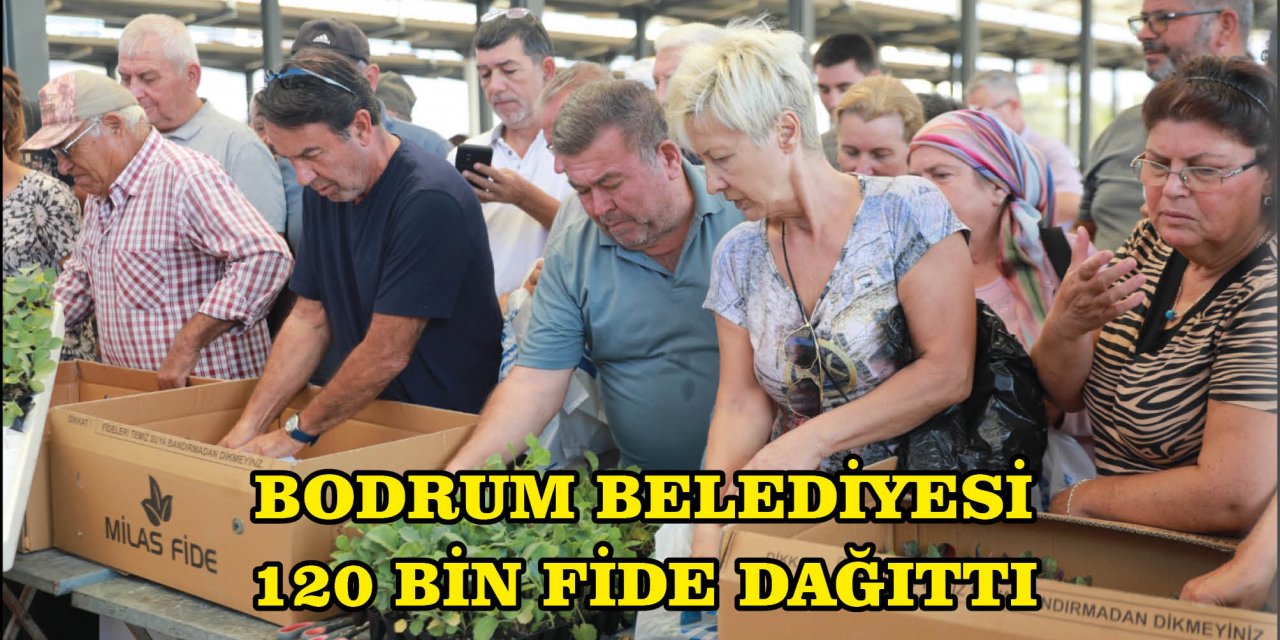 BODRUM BELEDİYESİ 120 BİN FİDE DAĞITTI