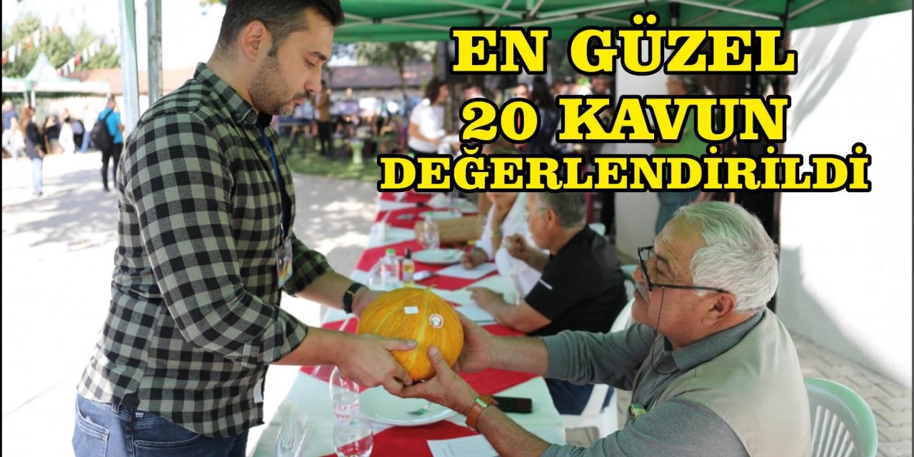 EN GÜZEL 20 KAVUN DEĞERLENDİRİLDİ