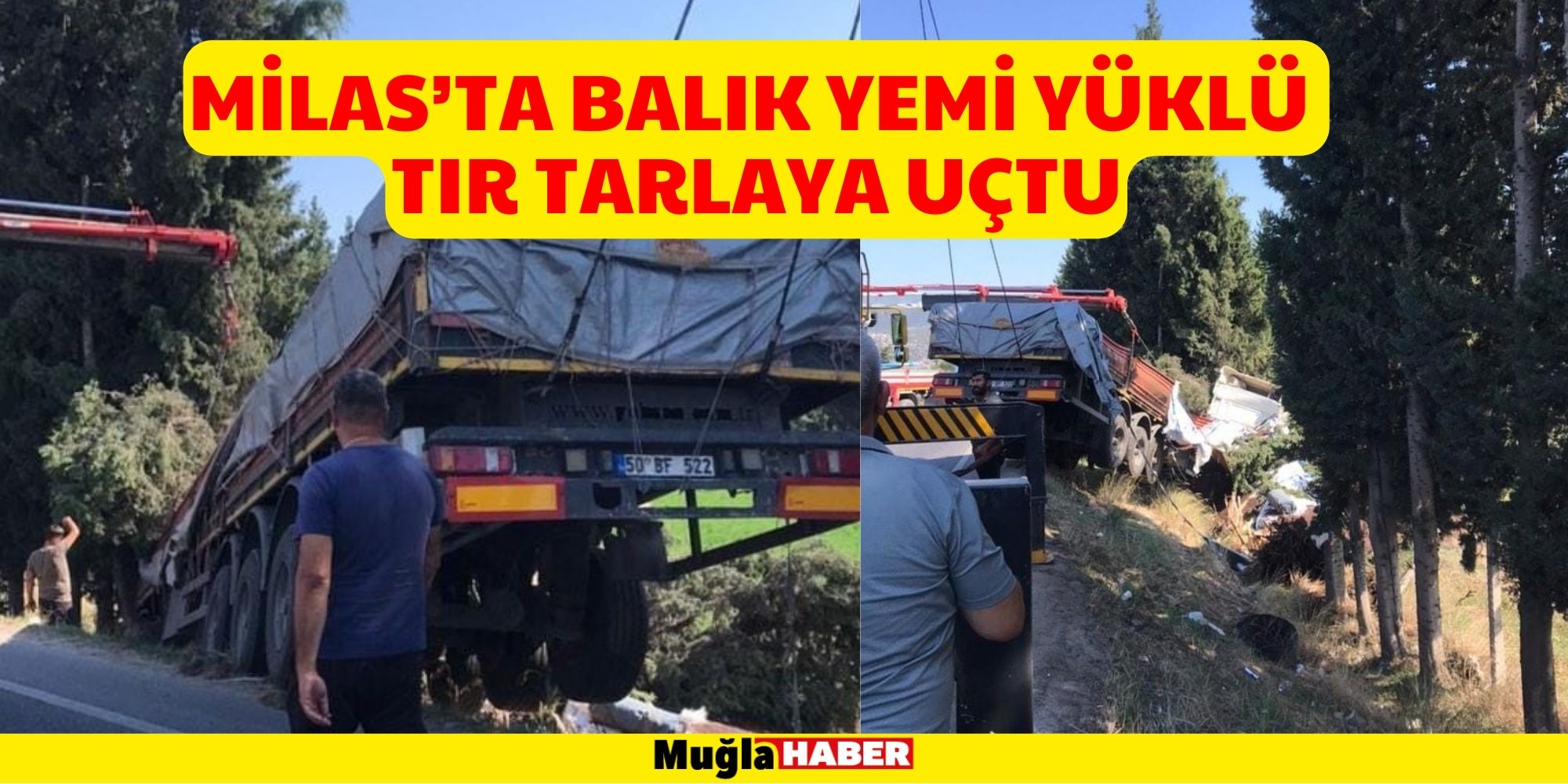 MİLAS’TA BALIK YEMİ YÜKLÜ TIR TARLAYA UÇTU