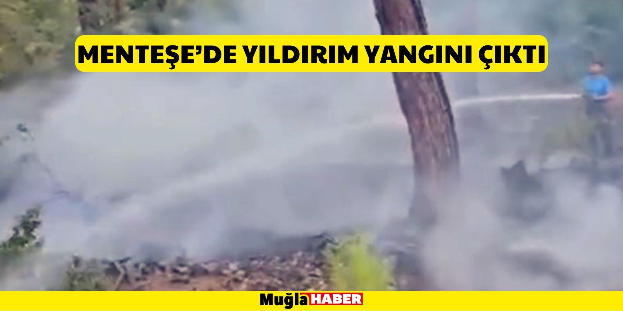 MENTEŞE'DE YILDIRIM YANGINI ÇIKTI