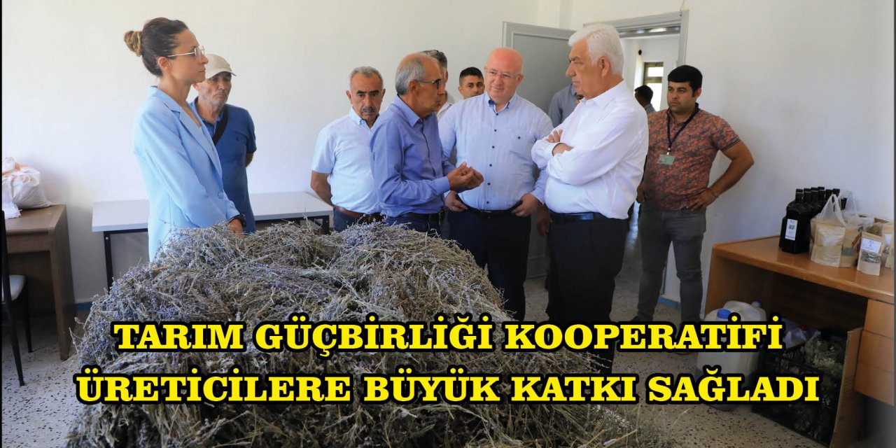 ​​​​​​​TARIM GÜÇBİRLİĞİ KOOPERATİFİ ÜRETİCİLERE BÜYÜK KATKI SAĞLADI