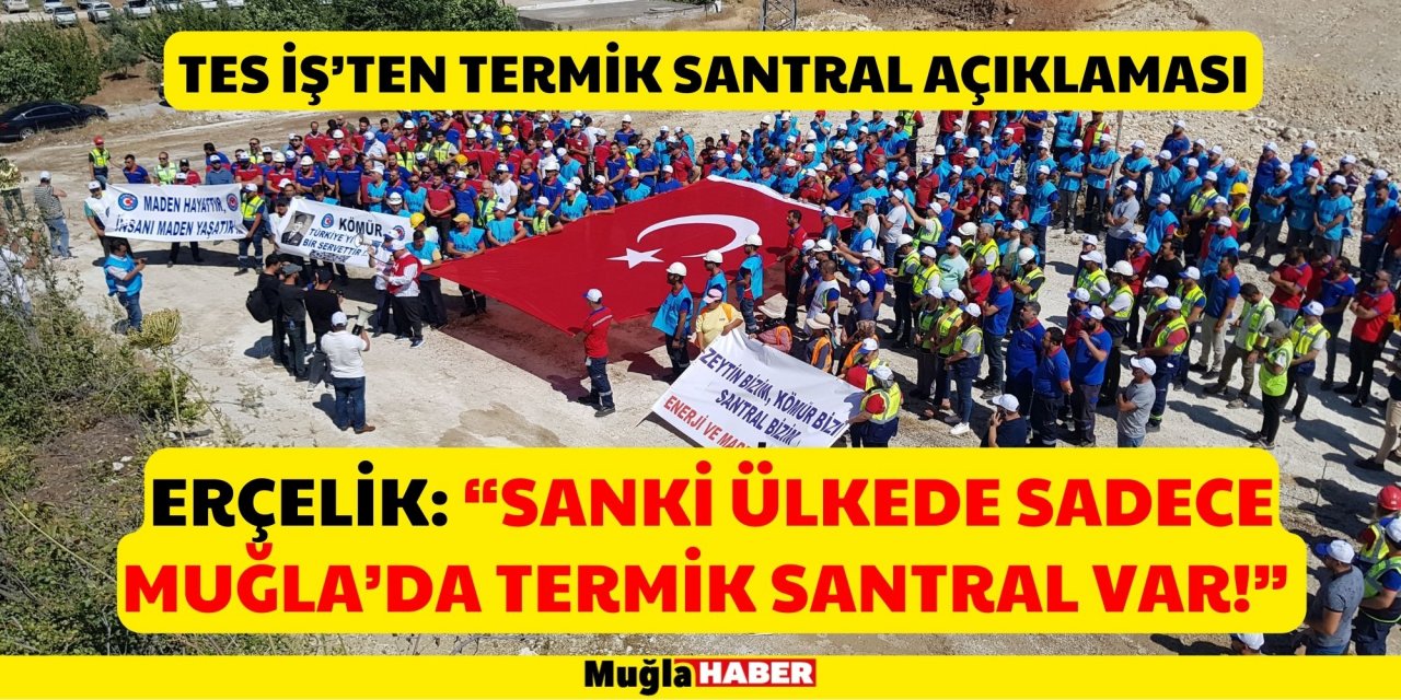 ERÇELİK: “SANKİ ÜLKEDE SADECE MUĞLA’DA TERMİK SANTRAL VAR!”