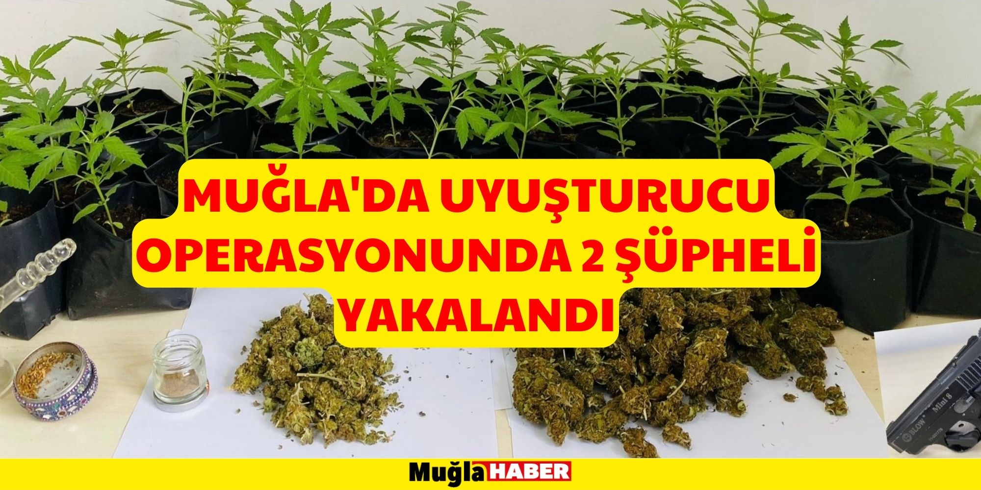 MUĞLA'DA UYUŞTURUCU OPERASYONUNDA 2 ŞÜPHELİ YAKALANDI