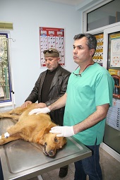 Caniler kedi ve köpekleri katletti
